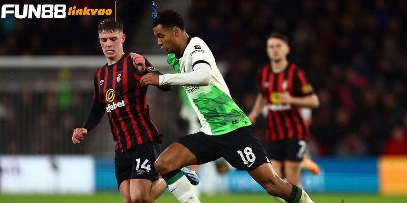 Đội hình dự kiến ra sân của Bournemouth vs Liverpool