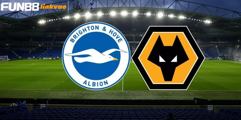 Các thông tin khái quát về trận đấu Brighton vs Wolves