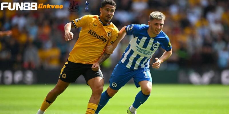 Nhận định kết quả giữa Brighton vs Wolves